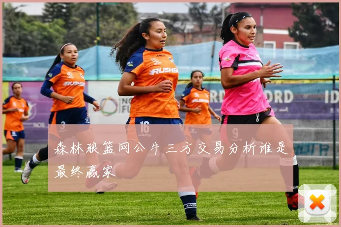 森林狼篮网公牛三方交易分析谁是最终赢家
